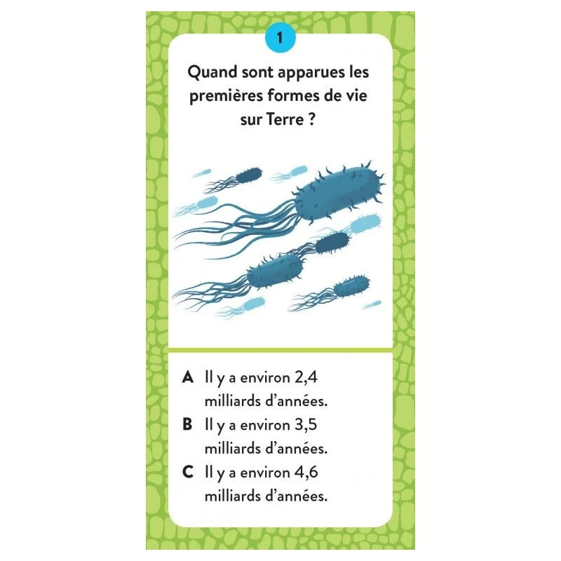 Le Coffret Méga Atlas Des Dinosaures – Image 7